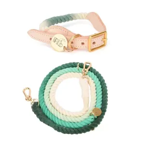 Hands Free Rope Leash and Luxe Royal Leather Collar Bundle - Ombré Green